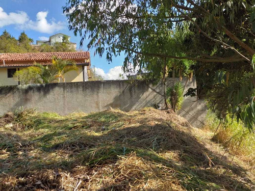 Imagen 4 de 6 de Terreno 1300m2 Colinas De Carrizal