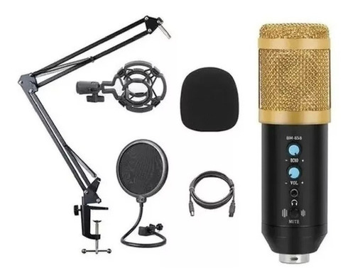 Microfono Condenser Bm858 Profesional Kit Grabacion Streamin