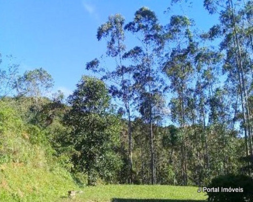Imagem 10 de 14 de Chacara - 125 - 32939132