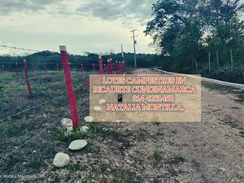 Venta De Lotes Planos En Ricaurte Cundinamarca.