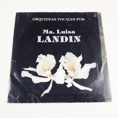 Orquídeas Vocales Por Ma. Luisa Landín / Lp