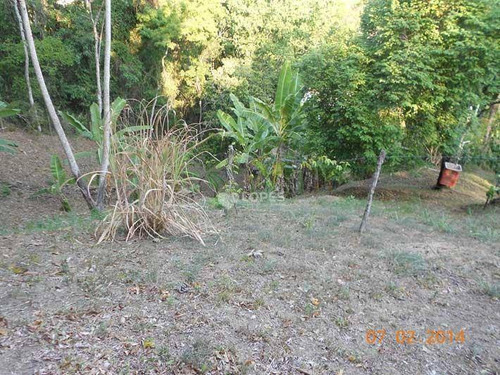 Imagem 19 de 24 de Terreno À Venda, 3858 M² Por R$ 950.000,00 - Itaipu - Niterói/rj - Te4210