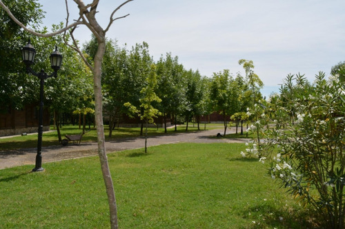 Imagen 20 de 30 de Venta De Hermoso Complejo De Cabañas Con Galpón En Guernica