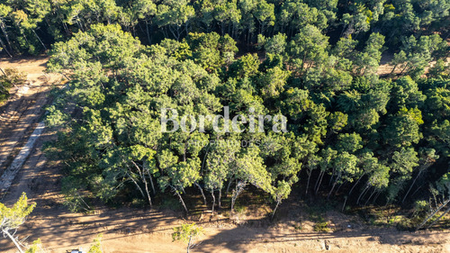 Venta Lote Barrio Los Enebros Carilo
