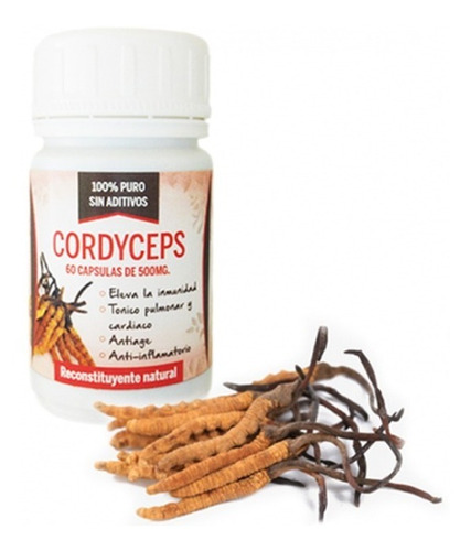 Cordyceps En Capsulas, 500mg X 60 Caps