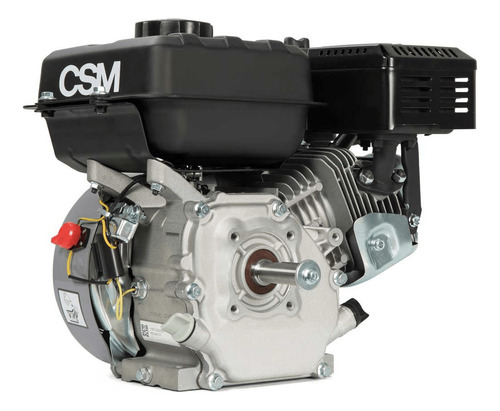 Motor 4 Tempos Cyclone C13e 13hp A Gasolina Partida Eletrica