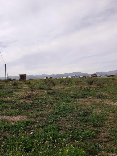 Ofertaterrenos En Guanaqueros ,los Trigales