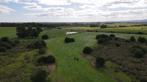Campo En Venta En Solís De Mataojo