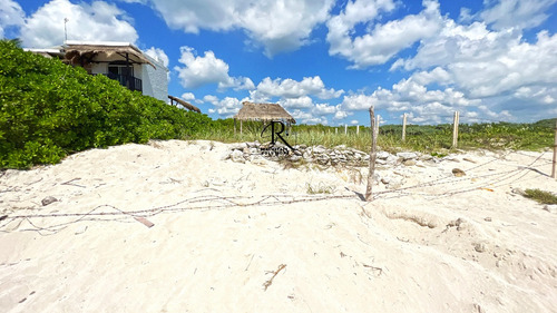 Puerto Morelos: Vive O Invierte En Un Lote Único Frente Al Mar