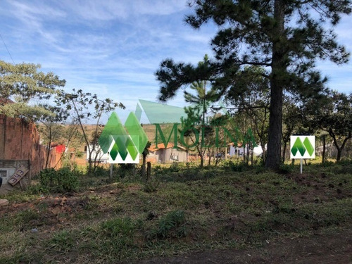 Imagem 2 de 2 de Terreno - Te00070 - 70027517