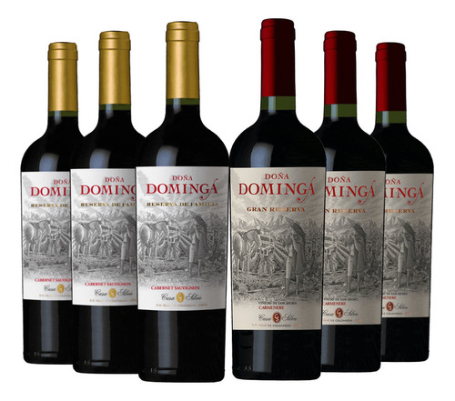 6 Vinos Mix Doña Dominga: 3 Gran Rva. Ca + 3 Reserva Cs