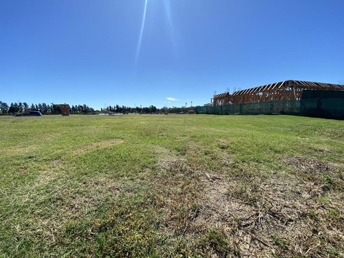 Imagen 12 de 12 de ¡oportunidad! Lote A La Laguna - Santa Ana Villanueva - Tigre - 638 M2 - Apto Para Construir Ya!