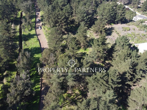 Terreno En Los Pinos