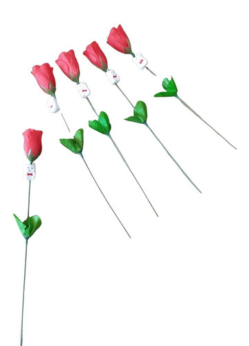 20 Rosas Roja 14 Febrero Regalo San Valentin Mayoreo Barato 