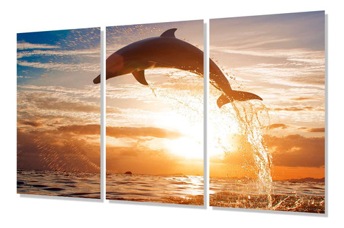 Cuadro Trip 40x60 Delfines Delfin Saltando Mar Soleado