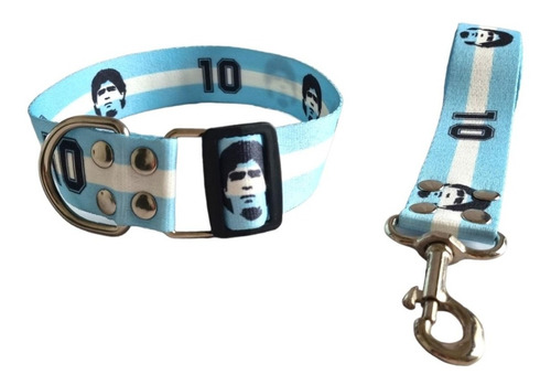 Collar Y Correa Para Perros Argentina Talle M