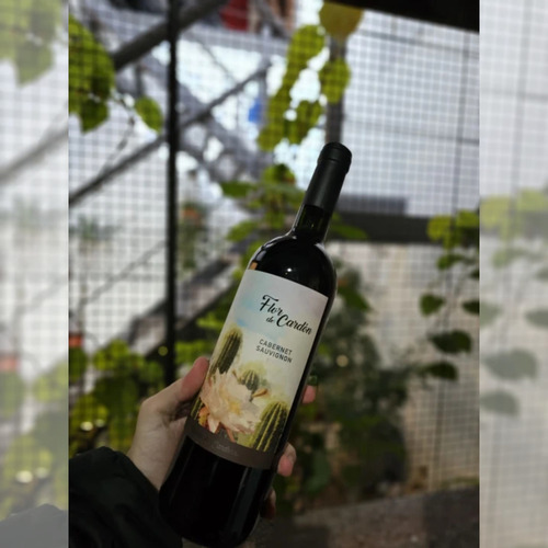Vino Tinto Flor De Cardón Cabernet Sauvignon 6x750