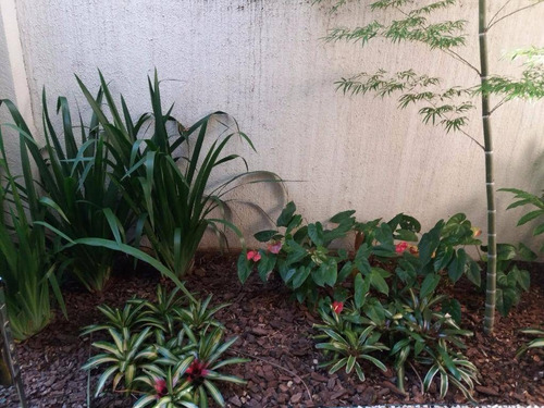 Ponto Comercial Para Venda, Jardim São Dimas, São José Dos Campos - Pt0055