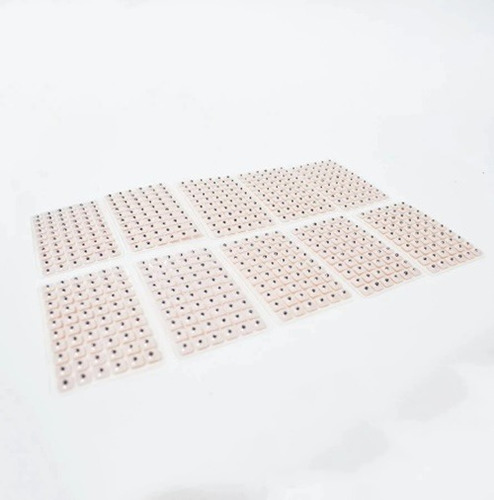 Imagen 3 de 6 de Pack Semillas De Vaccaria 1.800 Und + Pluma Detector Puntos