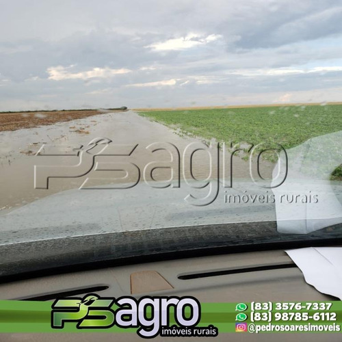 Imagem 5 de 15 de Fazenda À Venda, 12 Mil Hectares Por R$ 365.000.000 - Zona Rural - Chapadão/piauí - Fa0190