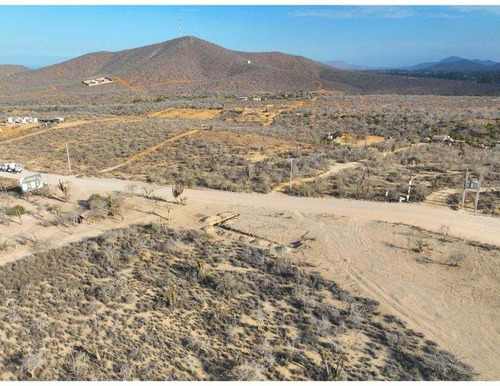 Cerritos Dreaming, Pescadero, Bcs