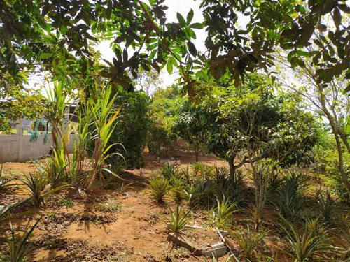 Imagem 8 de 15 de Terreno Parque São Martinho - Bitr00033