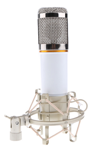 Micrófono De Grabación De Sonido De Estudio Blanco