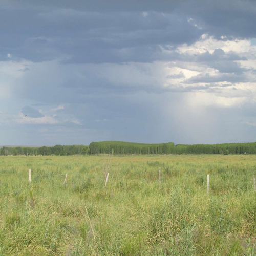 Campo Con Vertiente En Venta Tunuyán Valle De Uco