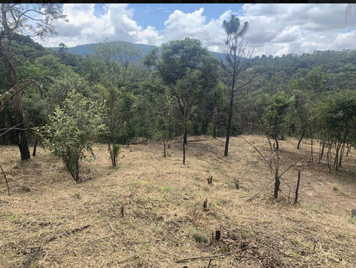 Terreno 3lotes 10mincentro, Doc Ok Represa  Mairiporã