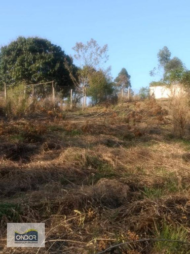 Imagem 4 de 7 de Terreno À Venda, 2829 M² Por R$ 250.000,00 - Caete (mailasqui) - São Roque/sp - Te0046