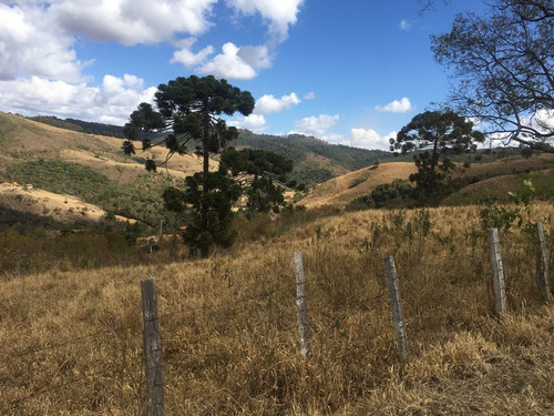 Imagem 17 de 24 de Chácara À Venda, 2800 M² Por R$ 80.000 - Zona Rural - Caldas/mg - Ch0126