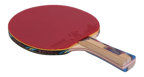 Imagen 3 de 4 de Paleta Ping Pong Tenis De Mesa Giant Dragon 6* Professional