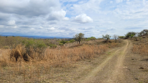 Vendo Terreno En Santa Mónica.