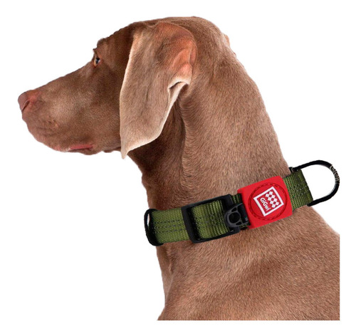 Imagen 7 de 7 de Collares Para Perros Classic Line Confort Calidad