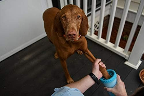 Limpador Portátil De Pata De Cachorro Dexas Mudbuster, Médi