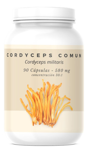 Capsulas Cordyceps Militaris - 90 Capsulas - 30:1