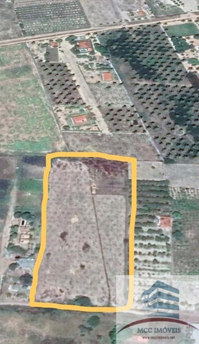 Imagem 2 de 3 de Granja A Venda Em Monte Alegre