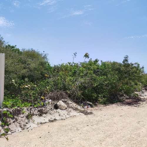 Imagen 11 de 24 de Terreno En Playa Chicxulub En Venta. Con Acceso A La Playa
