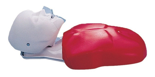 Imagen 2 de 6 de Torso De Rcp Basic Buddy. Muñeco Adulto