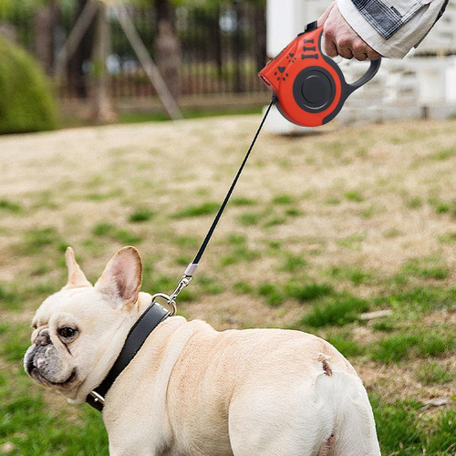 Correas Retráctiles Para Perros Correas Retráctiles Para Per