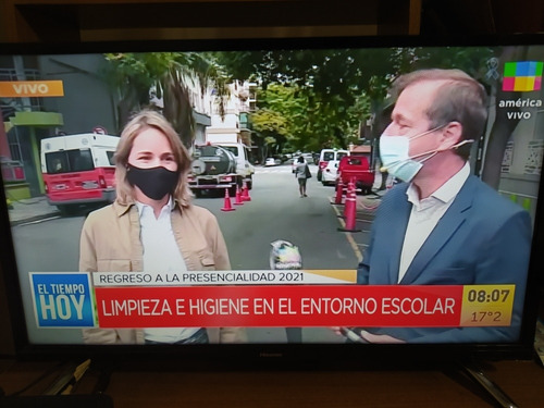 Smart Tv Hisense 24 Excelente Estado