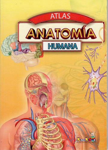 Atlas Anatomia Humana