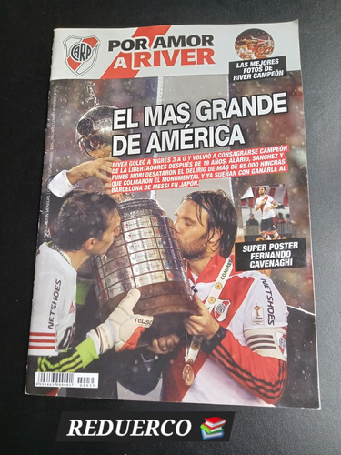 Por Amor A River N° 35 Campeón De América 2015 C/ Póster E