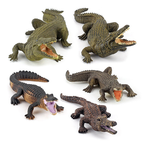 Modelo De Cocodrilo 5 Piezas