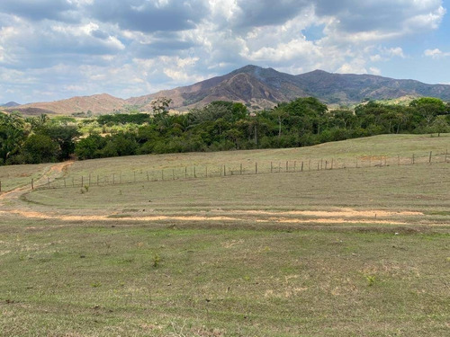 Imagen 23 de 30 de En Venta Granja Automatizada Y Finca De Ganado 142638 Andres Peña