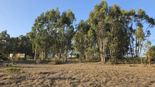 Parcelas Planas En Algarrobo Norte En Condominio Consolidado