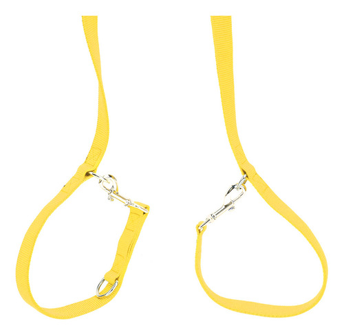 Cuerda De Tracción Para Perros, 2 M, Doble Hebilla, De Nailo