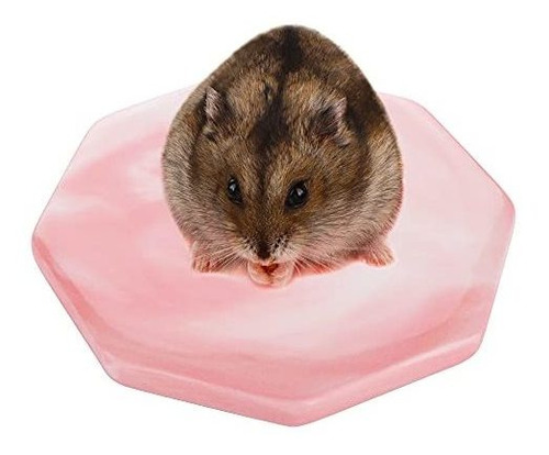 Hamster Ceramic Summer Cool Plate Pet Heat Dissipation Plat