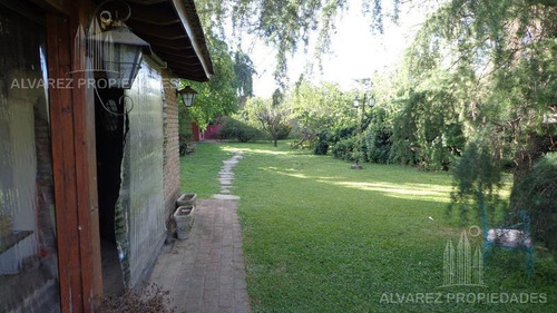 Quinta - Moreno