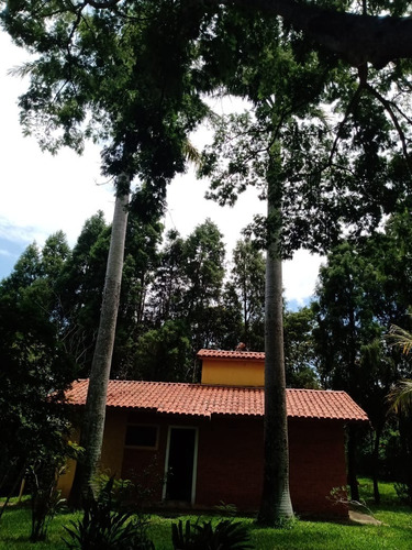 Imagem 23 de 30 de Sítio 23 Alqueires,terra Fértil,muito Boa,rio Fundo Propriedade,benfeitorias Otima Estrutura,casa Sede 3 Dorms 1 Suíte,churrasqueira,piscina - St00050 - 69179656